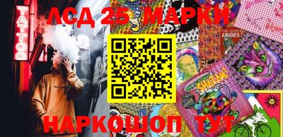a pvp Можга