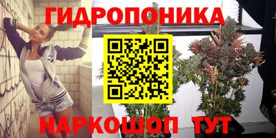 тгк Моздок