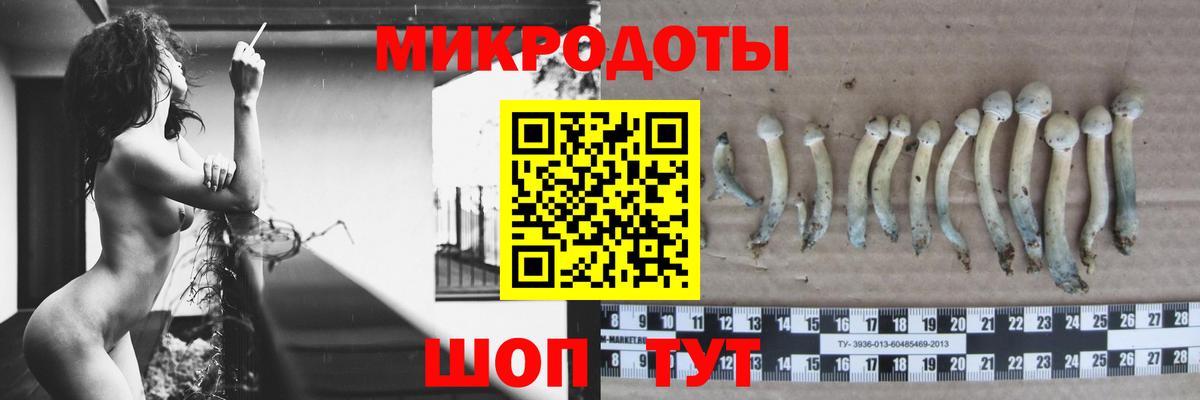Галлюциногенные грибы прущие грибы  Вход с VPN  Щёлково 